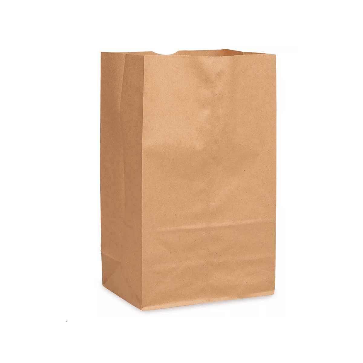 535 Kraft Paper Bag, 9.75x6x16.5-Inch - 250 Pcs